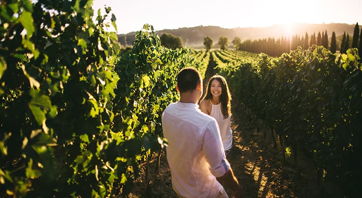 A couple walks through a vineyard at sunset